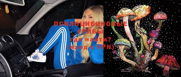 дурь Алексеевка