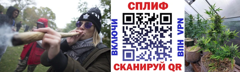 где купить   darknet клад  KRAKEN маркетплейс  Бошки марихуана план  Болотное 